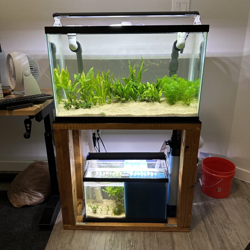 full photo of the display and sump