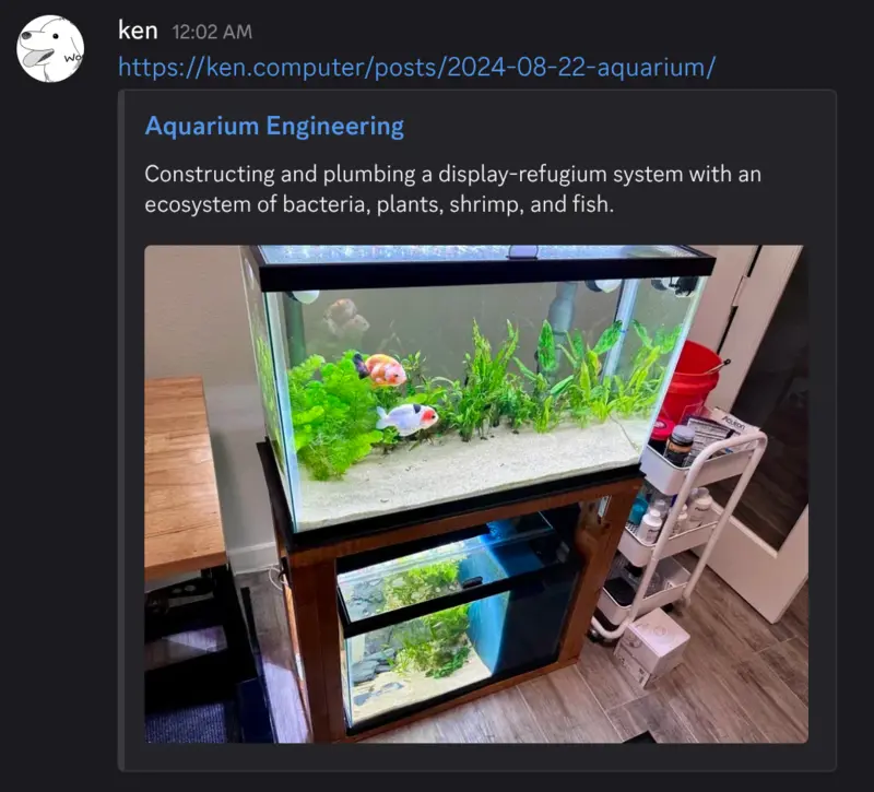 rich preview in Discord